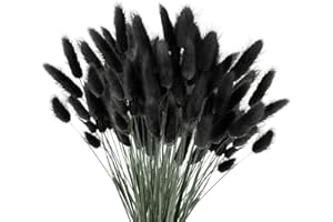 YJSDDNTY 60 pezzi Bunny Tails Bouquet Coda Di Coniglio Bouquet Di Fiori Secchi Di Erba Di Pampa per Fiori Secchi Decorazione Camino Casa Cucina Chiesa Tavolo Decorazione Boho Nozze Decor（nero）