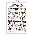 GO WOO Domestic Animals and Pets Educational Poster for Preschool Kids Classroom Study | Learning- Chart for Kids Learning (20"X30" Inches)
