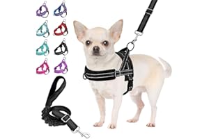 Eyein Dog Harness Small Dog, Anti Pull Heavy Duty Dog Harness and Lead Set, Easy for Walk Vest Harness Soft Padded Reflective Adjustable Anti-Twist Pet Lead Quick fit for Small Puppy Dog Cat(XS)