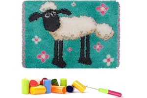 ROCKY&CHAO Myriad Choices Kit de gancho de pestillo lanudo hecho a mano para adultos, principiantes, decoración del hogar, regalo, 20 x 15 pulgadas