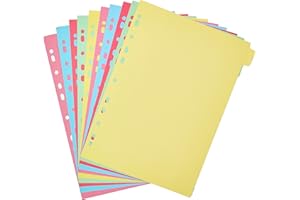 5 Star 295179 - Separadores de cartulina 10 posiciones, color pastel