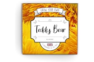 THE LOVELY STUFF COMPANY Grow Your Own Teddy Sunflower Kit - Complete Beginner Starter Kit | Easy Instructions | Made in UK | Perfect Gardening Gift for Any Occasion