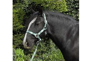 Rhinegold Carnival - Juego de Collar y Cuerda a Juego