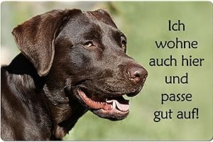 Nanyuk +++ Labrador Retriever - Metall Warnschild Schild Hundeschild Sign - LAB 62 Bra