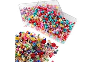 ZILZUFA 200 Pezzi Fiori Secchi Decorativi Fiori Secchi Fiori Secchi per Resina Fiori Secchi per Candele per Candele Profumate per Fare il Sapone fai da te Nail Art Custodia per Telefono Gioielli Orecchini