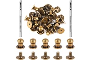 Haisheng 80 Set Leder Nieten Doppelkappen Nieten Rivet Retro Hohlnieten Leder Runde Kragenknopf Metall Nagel Nieten Chicago Schrauben mit 2 Nietenzange für DIY Lederhandwerk Reparatur Deko
