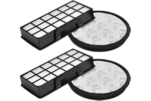 LEADAYBETTER Lot de 2 Filtres HEPA pour Rowenta Silence Force Cyclonic 4AAAA (Modèle RO76xx) RO7681EA RO7691EA RO7690EA RO7649EA RO7647EA RO7663EA RO7676EA Aspirateurs, Filtre de Rechange ZR903701