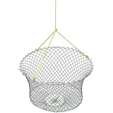 Vvikizy Mini Filet Télescopique Réglable Filet D'accessoires D'aquarium