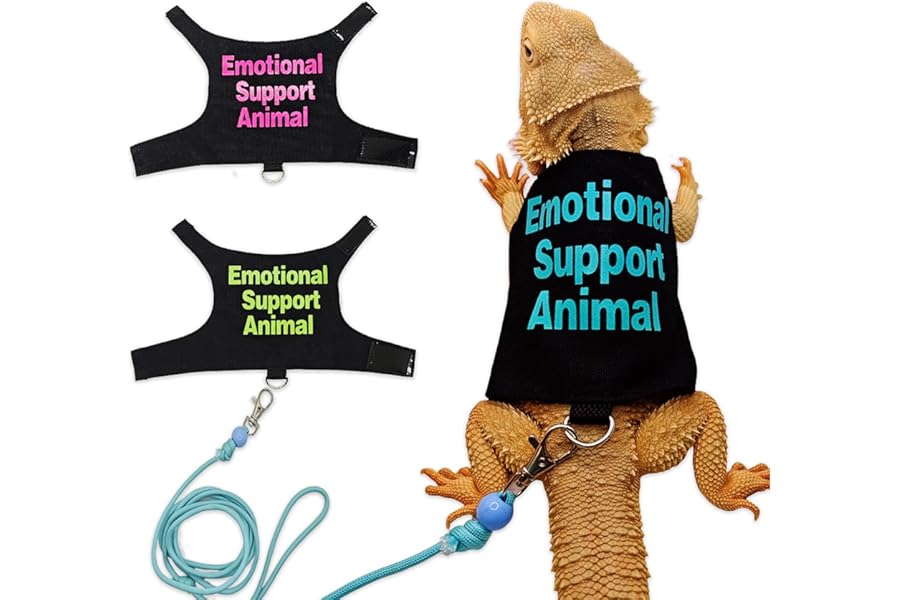 Bearded Dragon Lizards Clothes with Leash Set - Cute Lizard Reptile Small Animal Adjustable Harness Clothes for Walking Outdoor Security Costume Photo Prop(Blue）