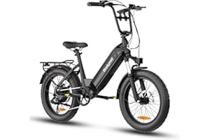 BODYWEL Bici Elettrica Adulto 48V 13.5AH Batteria Rimovibile 250w Motore Con 20"×3.0" Fat Tire Bicicletta Elettrica, Velocità 25KM/H,Autonomia massima di 90 km Città Pendolare Ebike per Ogni Terreno UomoDonna