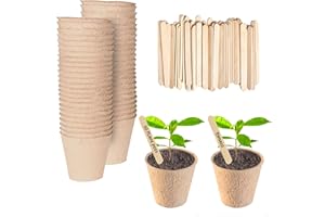Green Thumbz Plant Pots - 50 Pack (6cm) Fibre Pots for Seedlings with Wooden Labels for Easy Transplanting - Small plant pots for Seedlings, Vegetables, Flowers and Herbs
