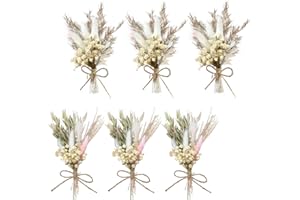 Lithyc 6 Pièces Mini Bouquet Fleurs Séchées, Artisanal pour Cadre Photo - Parfait pour Décorations de Mariage DIY