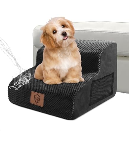 dog divanetti x cani