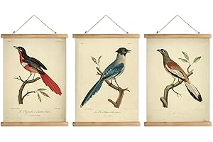 XIAOAIKA Cottagecore Lot de 3 cadres à suspendre pour affiche, décoration murale de style rétro, motifs imprimés sur lin sans décoloration (30 x 40 cm)