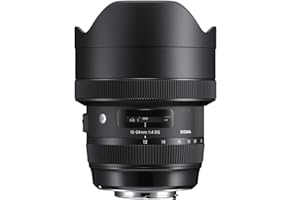 Sigma F4 DG AF HSM Art - Objetivo para cámara para réflex (12-24 mm) Color Negro