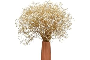 TooGet Ramas de Gypsophila de Flores Secas Naturales para Decoración de Hogar, Boda, Decoración de Mesa, Corona Floral DIY, Flores Secas a Granel para Jarrón (Blanco)
