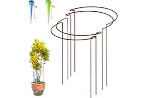 KAZITOO 4 Stück 40cm rostige Pflanze Stützpfeile, natürliche Rost Halbrunde Blume Unterstützung mit 2 Selbst Bewässerung Spikes, rostige Metall Vernetzung Garten Grenze für Pfingstrosen, Hortensie