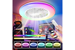 Izrielar Ventilatore da soffitto con illuminazione, lampada LED RGB con ventilatore 3 temperature di colore, luce da soffitto 6 velocità, timer, funzionamento estate-inverno da soffitto per soggiorno