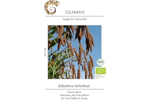 Culinaris 034 Kolbenhirse Herbstfeuer (Bio-Hirsesamen)