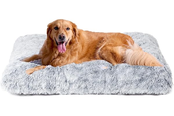 EHEYCIGA Felpa Cama Perro Extra Grande 105x70x9 cm, Colchon y Colchoneta Perro Lavable, Cama Gato Suave para Invierno, Gris