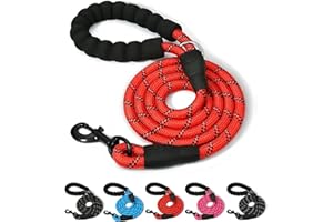 ARTISTRY ITALIAN ARTISTRY 5 FT Dog Lead for Large, Medium and Small Dogs | 150 cm Highly Reflective Dog Leash with Comfortable handle | Multi Colors Soft Padded Dog Leads Perfect for Indoor & Outdoor Use