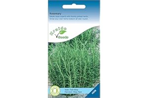KRAIDO SEEDS Kraido Rosemary Herb 75 Seeds (sow by Nov 2025) Salvia Rosmarinus, Grow Your Own Herb Garden Indoors on a Windowsill or Outdoors in Pots and Containers