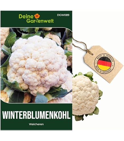 Drr-Samen - Wintererbsen Sima Saatgut : Amazon.de: Garten