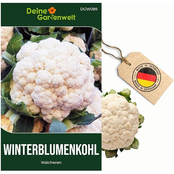 Drr-Samen - Herbstrben runde weie rotkpfige Saatgut : Amazon.de:  Musik-CDs & Vinyl