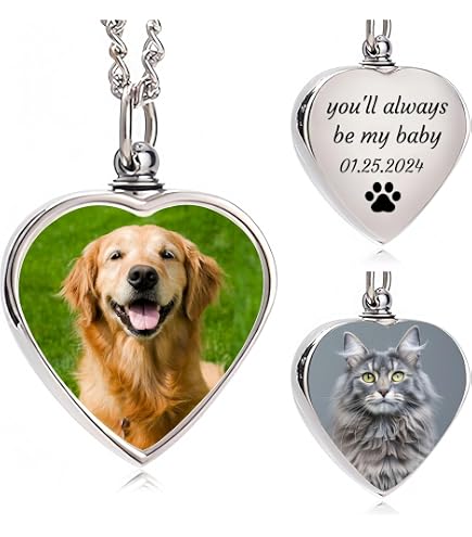 Collana Urna A Forma Di Cuore E Zampa Di Gatto – In Acciaio Inox 316L, Per Ceneri Di Animali O Familiari, Con Kit Di Riempimento
