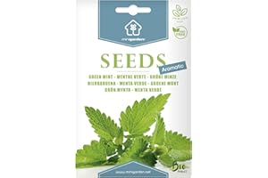 Menthe verte, Graines prêt à Pousser Minigarden, 100% Naturelles sans Propagateurs Chimiques ni Génie Génétique, inclut entre 1000 et 1600 graines