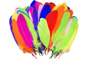 Naapesi 100 Pièces Plume Coloré de Nature, Multicolore Plume Décoration, Plume d'Oie Creative pour DIY Arts Crafts, Costumes, Chapeaux, Loisirs Créatifs, Fête, Mariage, Anniversaire