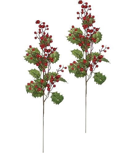 mucplants Ilexzweig Grn-Wei mit roten Beeren Hhe 52cm Kunstzweig Knstlicher  Ilex Kunstblumen : Amazon.de: Kche, Haushalt & Wohnen