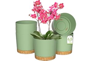 ZMTECH Flower Pot, 6 Indoor Plant Pots with Holes and Saucer, 16.5CM Plastic Planters Nursery Seeding Pot with Tray for Indoor Outdoor Bonsai Plants, Aloe Cactus Tomatoes Potatoes - Green