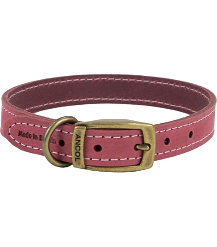 Collar Con Placa De Identificación De Cuero Personalizado Para Perros