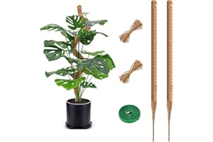 RYHX 75CM Bastoni per Piante,Palo del Muschio per la Pianta,Pali Piegabili della Fibra di Cocco Bastone del Muschio della Pianta,Porta Piante Rampicanti per Piante da Interno（2×75CM）