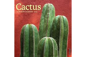 Willow Creek Press, Cactus 2025 Wall Calendar
