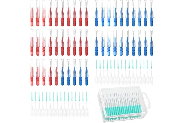 200 Pièces Cure-Dents Souples en Caoutchouc Cure-Dents de Soie Dentaire et 50 Pièces Cure-Dents de Brosse Interdentaire Outil de Nettoyage de Dents