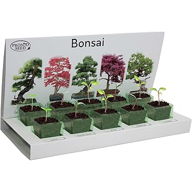 Amazon.de Am hufigsten geschenkt: Die beliebtesten Artikel, die in Bonsai  als Geschenk bestellt werden