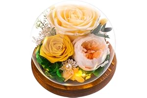 TOULOUBE Gifts for Mother, Preserved Eternal Rose in Glass Dome, Real Flowers Gifts for Women, Forever Love Gifts for Mum Wife Girlfriend, Birthday for Her, Christmas Wedding Mother's Day Present, Yellow
