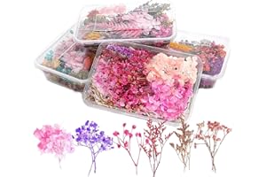 Lizaty 4 Scatola Fiori Secchi Naturali Mix Foglie Fiori Pressati Secchi Fiori Secchi Decorativi Piccoli per Fai da Te in Resina Mestiere Scrapbooking(stile casuale)