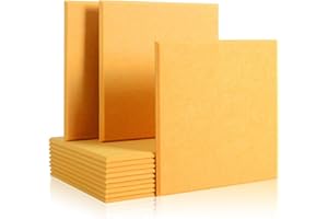 Rdutuok 12 Paneles Absorción Acústica 30 x 30 x 1 cm acústicos alta densidad Azulejos, excelentes Para Estudio Grabación,Oficina,Decoración de pared(Naranja)