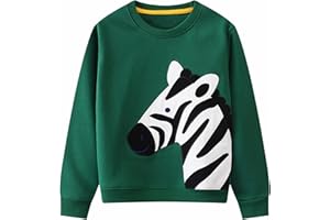 Little Hand Boys Sweatshirt Dinosaur Jumper Crew-neck Long Sleeve Top Shirt Toddler Cotton Casual Pullover Kids Clothes Age 1-7 Years
