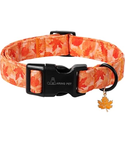 Buckle-Down Deadpool-Hundehalsband – Aus Robustem Nylon, Mit Sicherheitsgurt-Schnalle, Schwarz/rot/weiß