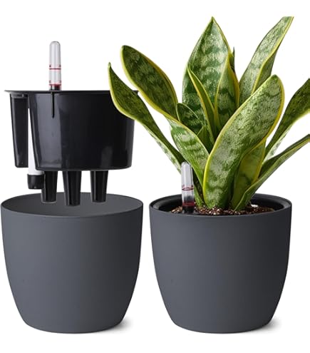 Self-watering insert 24 living black binnen l 24 x w 24 x h 22,1 cm elho