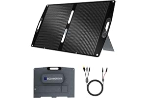 ECO-WORTHY 100W Solarpanel Faltbar XT60, ETFE, Mono Solarpanel mit 23% Wirkungsgrad, geeignet für Powerstation, Wohnwagen, Outdoor, Camping, Garten
