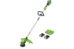 Greenworks Tools Tagliabordi A Batteria 48 V, 2 X 24 V, Taglio 33 Cm, Con Due Batterie 2Ah E Caricatore, Nero Verde