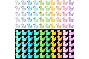JETOP 100 Canards Miniatures en Résine Brillant 100 Mini Canards Numérotés Petit Canard A Cacher Mini Canard en Plastique 100 Petits Canards pour Aquarium Paysage de Jardin Ornement Maisons de Poupées