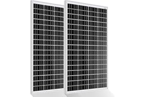 ECO-WORTHY 340W 12 Volt Monokristallines Solarmodul, 2 Stücke 170W Solarpanel Ideal zum Aufladen von 12V Batterien, für Wohnmobil Garten Camper Boot und Dach des Hauses
