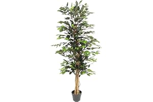 Blooming Artificial - Ficus Tree Artificial Plant, Large Fake Plant in Pot for House and Indoors, Year Round Decorative Realistic Faux Foliage (Green) (150cm/ 5ft)