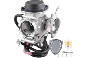 WEIYINGSI Carburateur pour Raptor 350 YFM350 2004 2005 2006 2007-2013 Carb